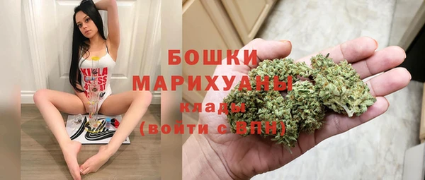 ПСИЛОЦИБИНОВЫЕ ГРИБЫ Кулебаки