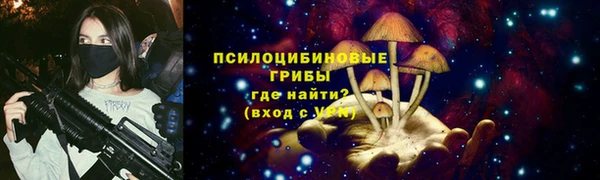 молекула духа Коряжма