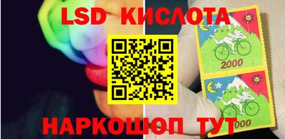 спайс Кингисепп