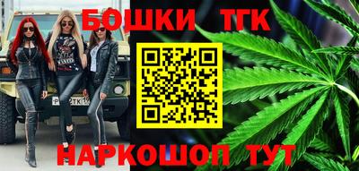 спайс Кингисепп