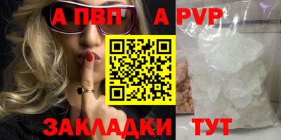 спайс Кингисепп