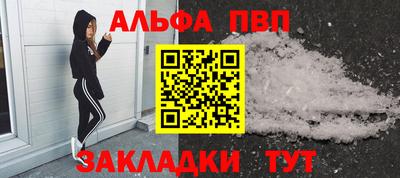спайс Кингисепп