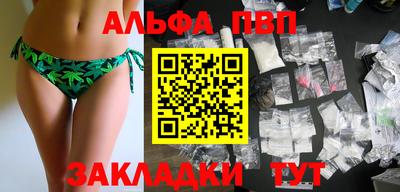 спайс Кингисепп