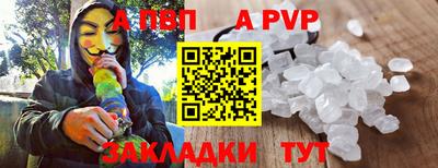 спайс Кингисепп