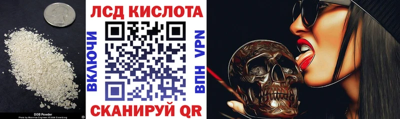 закладки Курчалой Лсд 25 экстази кислота