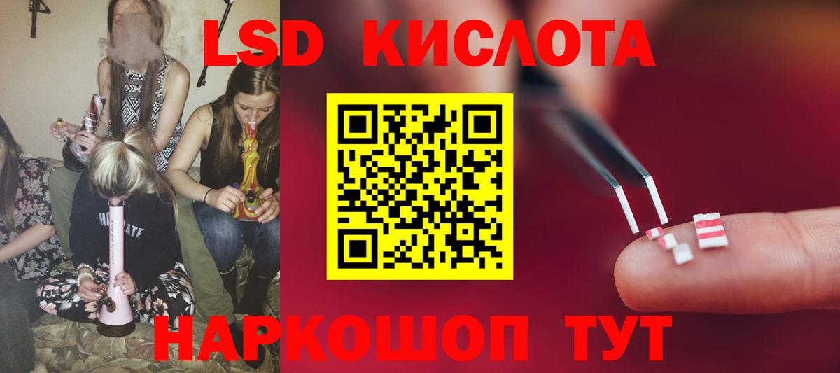 Курчалой  Лсд 25 экстази  Вход с VPN  Лсд 25 экстази кислота 