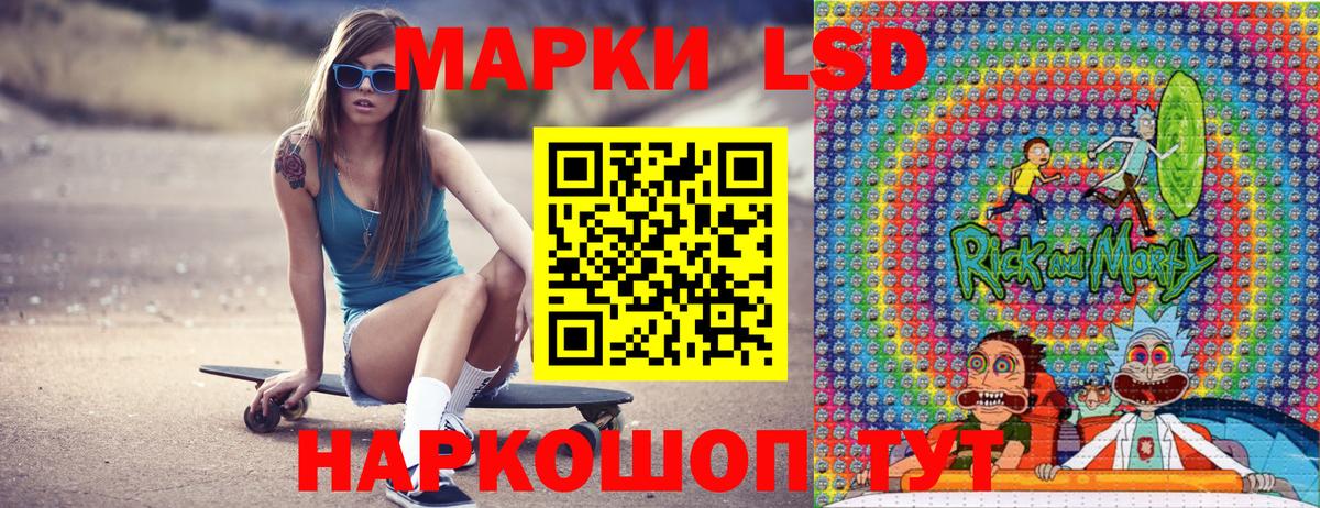 Галлюциногенные грибы Курчалой