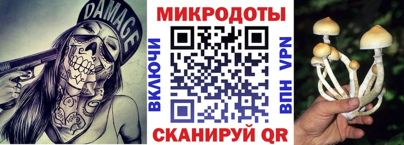 даркнет сайт  Курчалой  mega рабочий сайт  Галлюциногенные грибы прущие грибы 